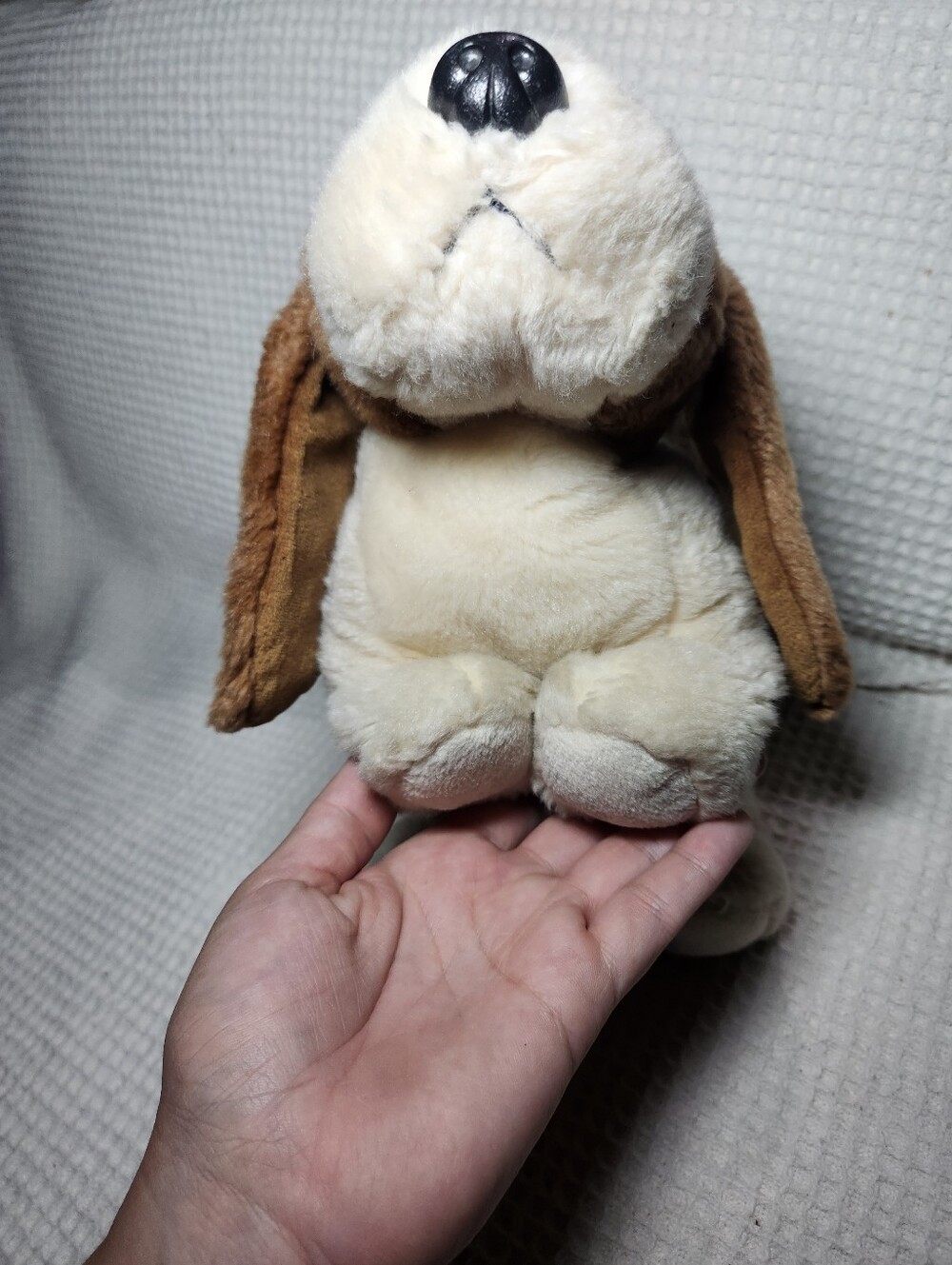 Ty Beanie Buddy Tracker the Basset Hound plush toy - Picture 4 of 15